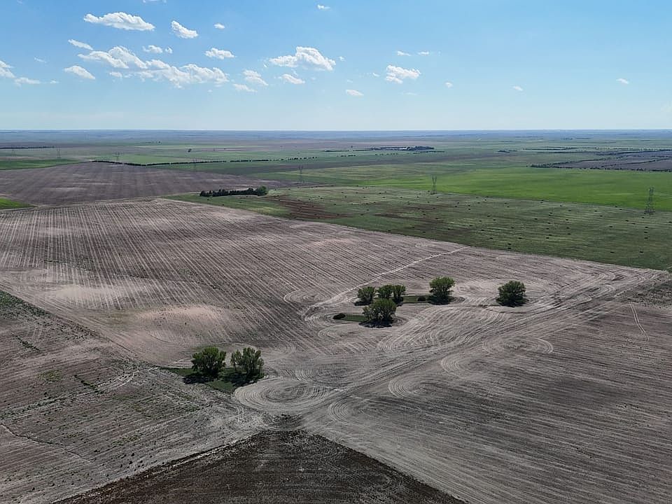 Dji Fly 20260820 155756 0053 1787263297994 Photo 4