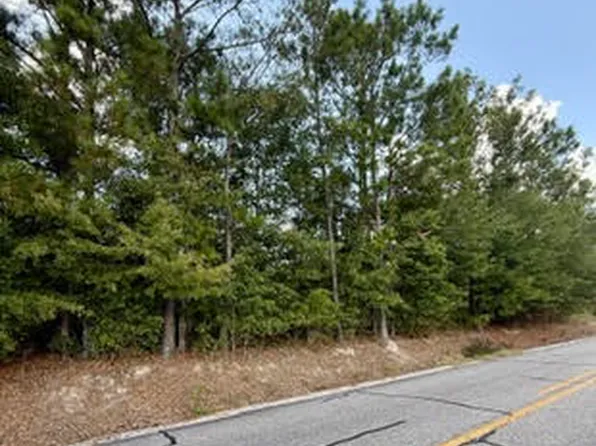 0 Lee Road 29, Opelika, AL 36804
