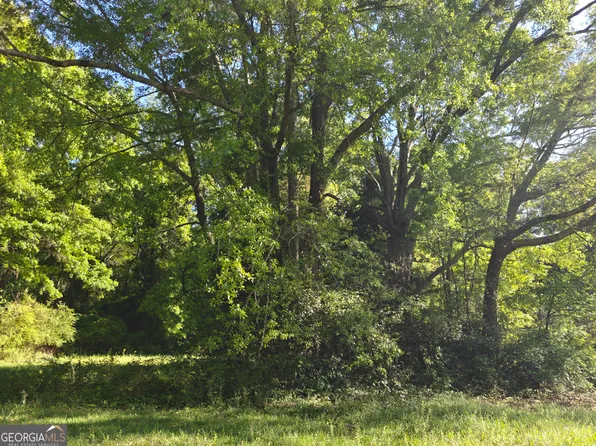 0 Crook St, Senoia, GA 30276