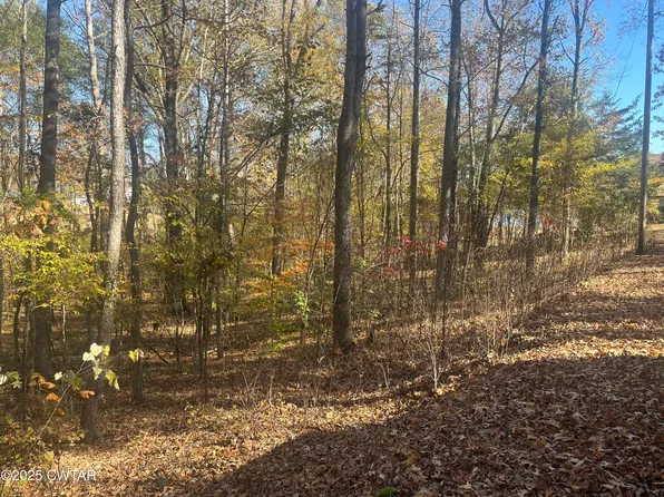 171 Indian Park Dr, Parsons, TN 38363