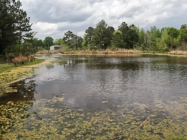 Fm 999, Gary, TX 75643