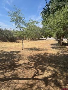 TBD N Dove Street, Dove Creek, CO, 81324