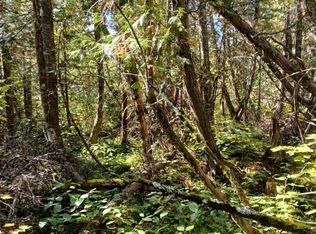 No Name Road Off Forest Road Above, Deerbrook, WI 54424