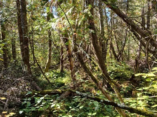 NO NAME ROAD #Off Forest Rd above, Deerbrook, WI 54424