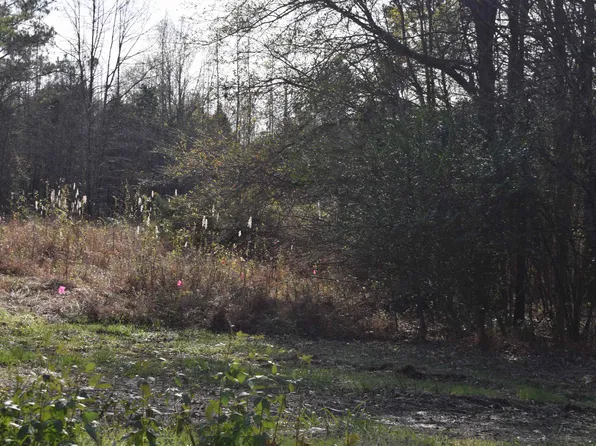 193 Highway, Rossville, TN 38066