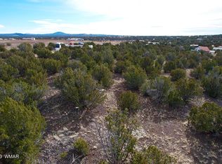 8529 Bobcat Dr, Show Low, AZ 85901
