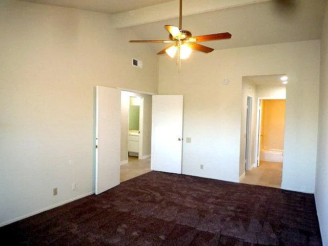 25366 Felicia Ct — Photo 21