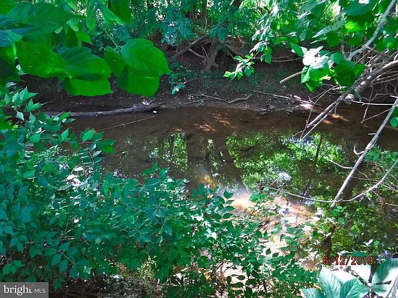 Stream behind back yard