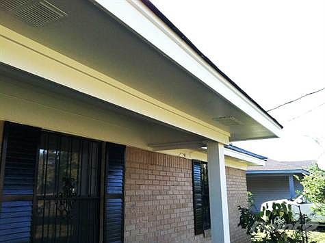 Exterior paint