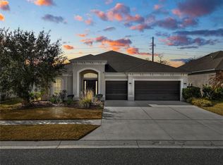 6333 Doe Path Ct, Wesley Chapel, FL 33545