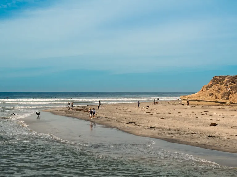 Let the Pup Roam on Dog Beach