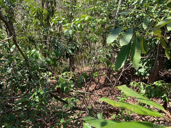 Lot 110 Black Oak Drive, Sapphire, NC 28774