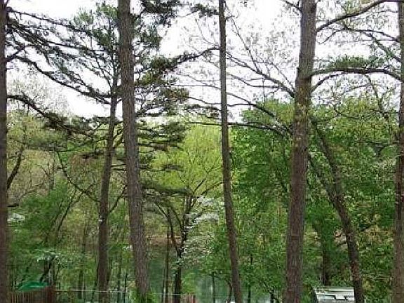 View from back deck