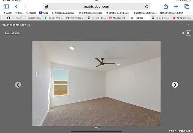 105 Pineapple Sage Cv — Photo 8
