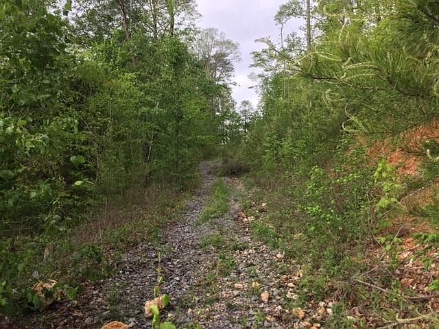 2nd image of 1989 Old York Hwy N