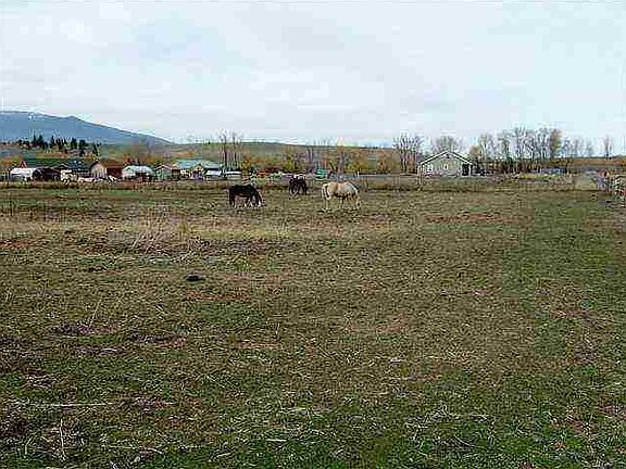 2nd image of Nhn Sunny Acres