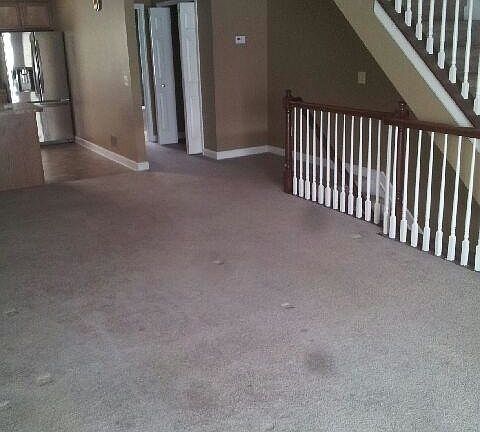 4th image of 5 River Bluff Dr