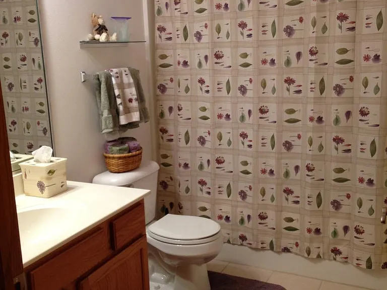 Guest Bath