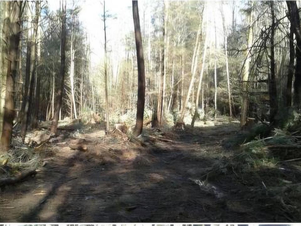 1st image of 24-12 Parks Rd