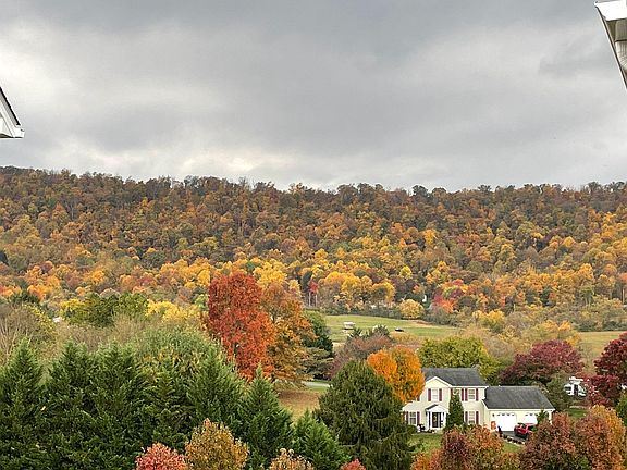 View from deck - Fall 2023