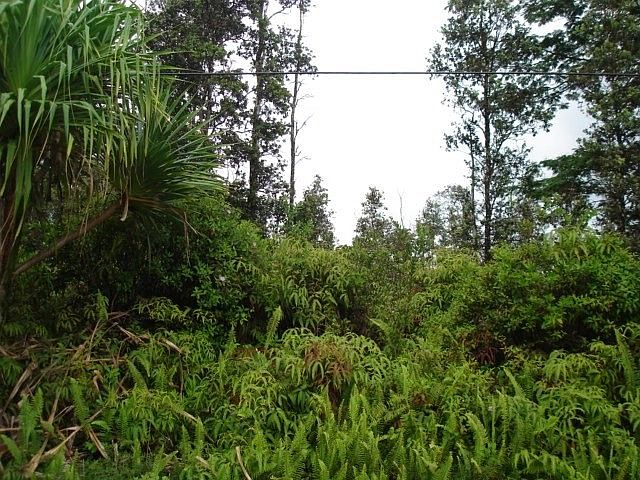 1st image of Kala St Lot 605