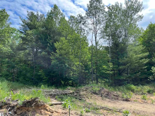 PARCEL Hoosier Flats Rd #A, Traverse City, MI 49685