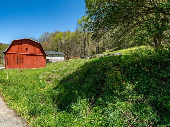 Tbd Hogum Hollow Rd, Roan Mountain, TN 37687