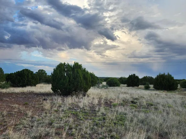 8510 Cannon Blvd, Show Low, AZ 85901