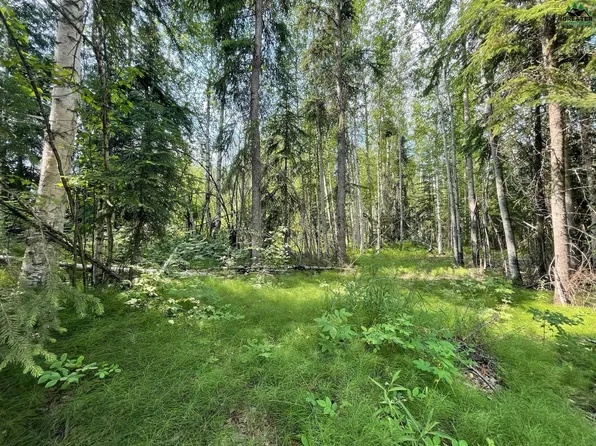 Nhn Keeling Rd, North Pole, AK 99705