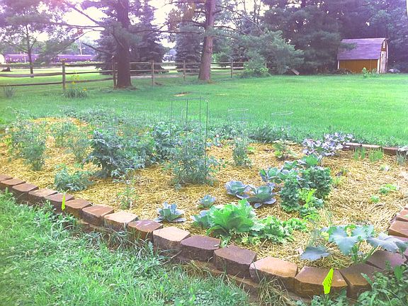 Raised Garden Bed