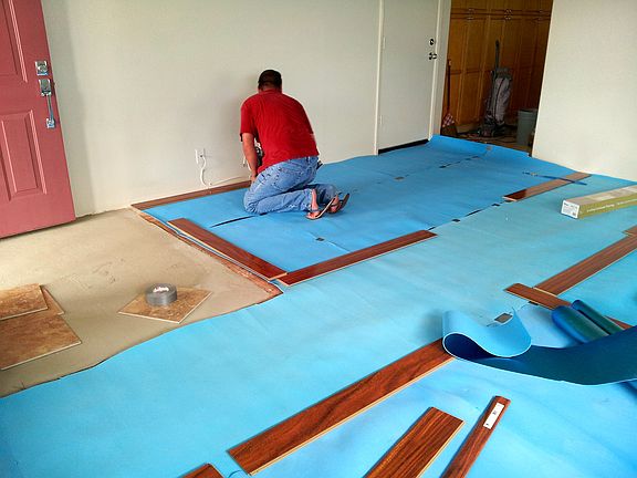 Dining/Living Rm Renovation