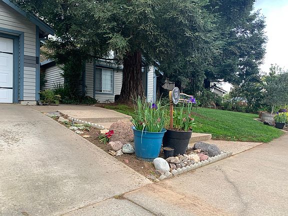 Lawn, front driveway and walkway