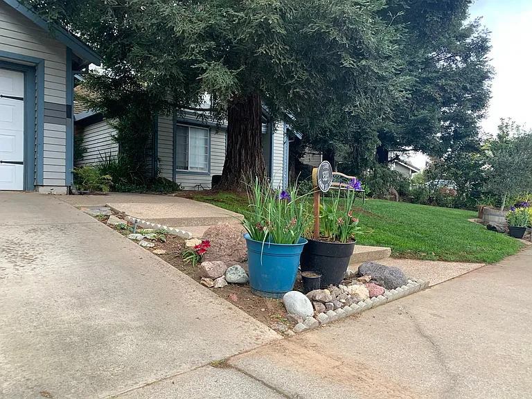 Lawn, front driveway and walkway