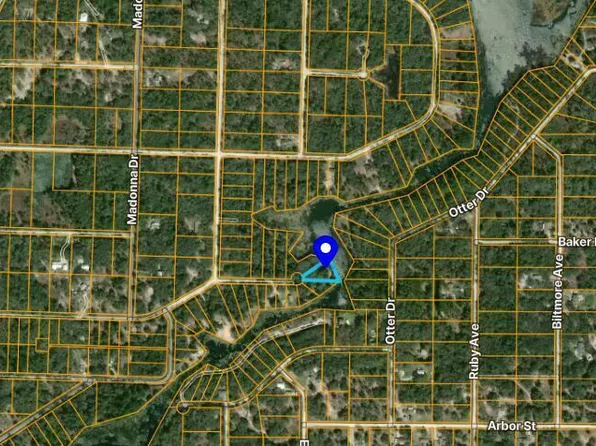 0 Long Cir, Webster, FL 33597