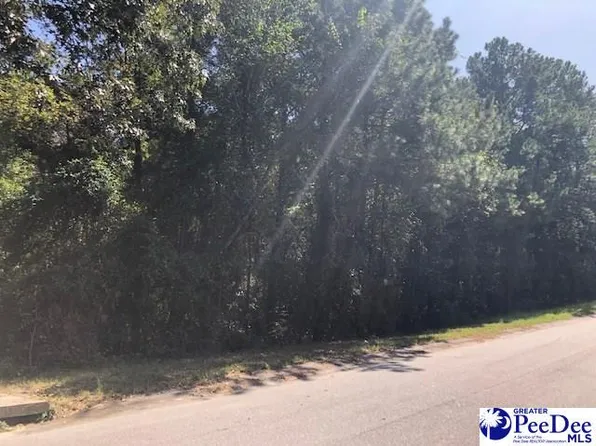 Beaverdam Dr, Hartsville, SC 29550