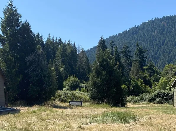 48400 Roaring Rapids Way, Oakridge, OR 97463