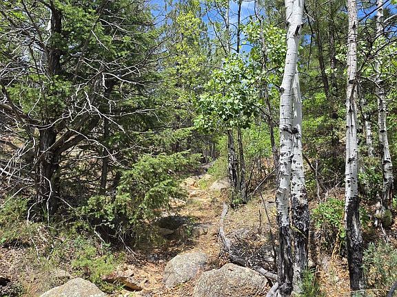 2nd image of L Bird Point Dr