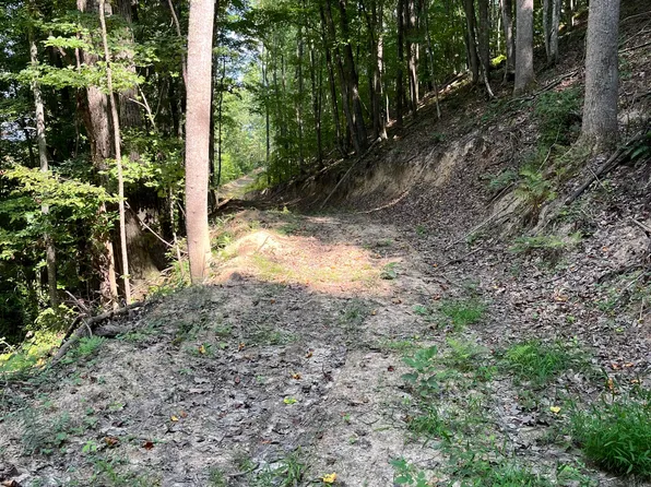 LOT 3 Ellison Ridge Rd, Jumping Branch, WV 25969
