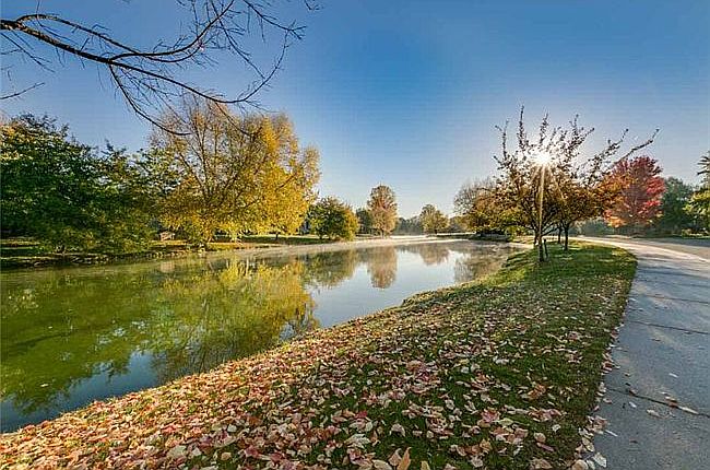 Front yard pond