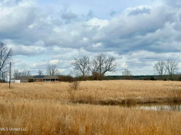 6525 Ebenezer Pickens Rd, Pickens, MS 39146