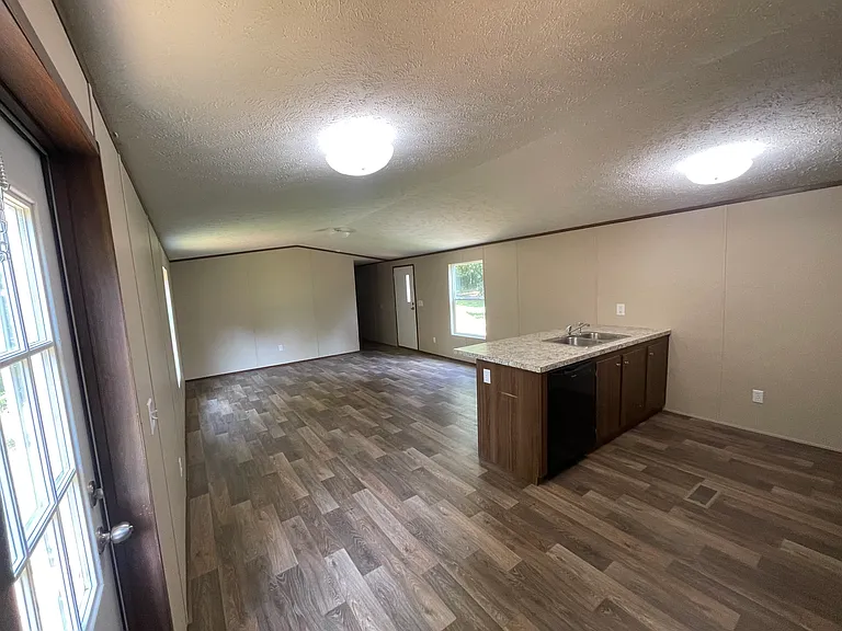 Living room and kitchen