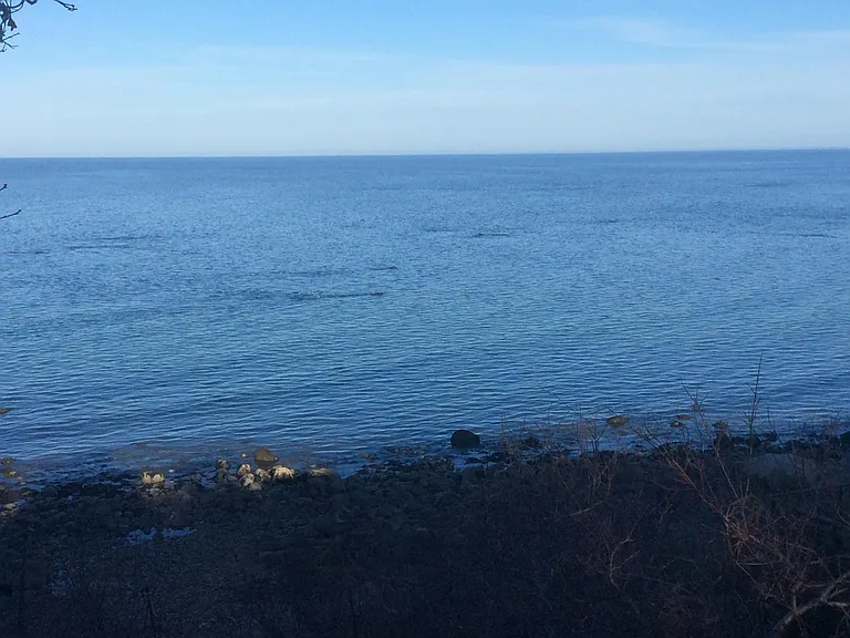 100 Shore Dr — Photo 1