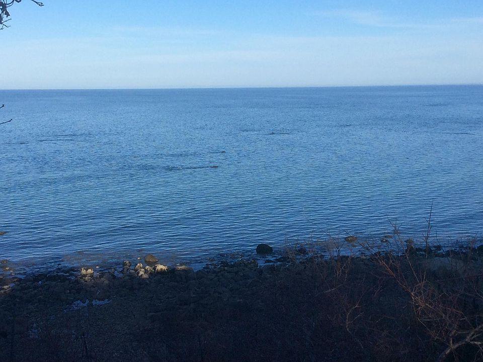 1st image of 100 Shore Dr