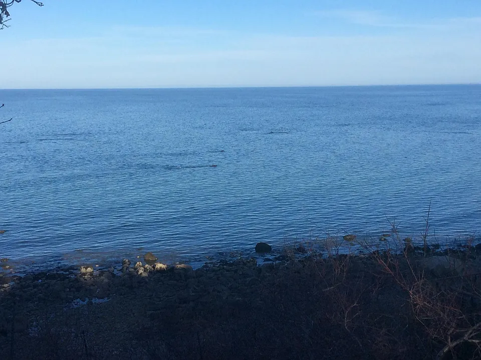 100 Shore Dr