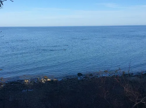 100 Shore Dr Photo 1