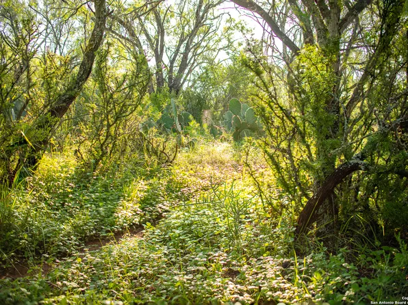 000 County Road 300, Jourdanton, TX 78026