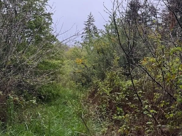 8 NKA Katherine Street, Port Townsend, WA 98368