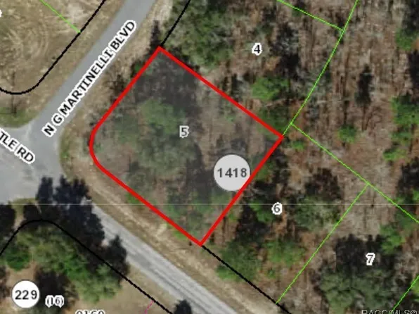 10429 N G Martinelli Blvd, Citrus Springs, FL 34433