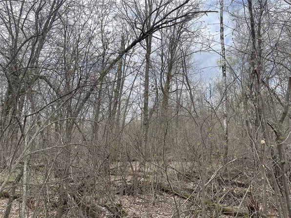 000 Nelson Road, Danbury, WI 54830