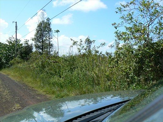 1st image of 4th Ave Lot 2479